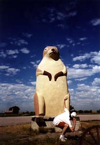 A giant LIVE PRAIRIE DOG wearing jewel-stealing burglary-type gloves