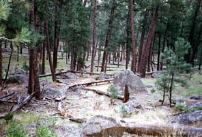 strewn rock