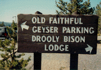 if you look closely, you can see the 'ys' in 'geyser' has been corrected by park personnel. this is the only correction to the sign. no other editing. no, really.